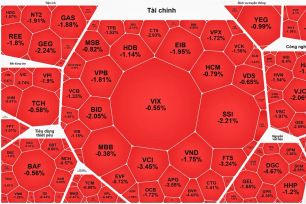 VN-Index giảm gần 20 điểm