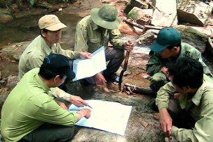 Lâm Đồng: Yêu cầu kiểm tra, cập nhật đúng thực tế việc giảm hơn 17.700ha rừng 