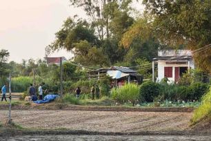 Vụ 4 người chết cháy ở Gia Lai: Bước đầu nghi do tự sát