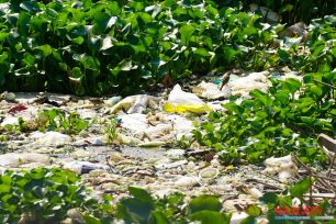 Sông Kim Bồng ở Nha Trang ô nhiễm nặng