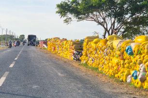 Doanh nghiệp thu mua lúa gạo ở Cần Thơ vẫn khó tiếp cận vốn vay