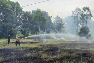 Đảm bảo phòng cháy chữa cháy rừng Tràm Chim và Gò Tháp mùa nắng nóng