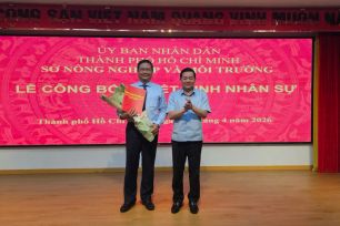 TPHCM kiện toàn nhân sự hệ thống văn phòng đăng ký đất đai TP