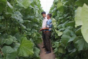 Ứng dụng công nghệ cao để giải quyết bài toán về chất lượng nông sản