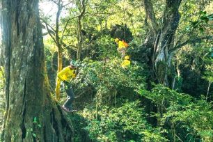 Quần thể hang động triệu năm vừa thức giấc ở Quảng Trị