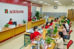 Lan tỏa dòng vốn giá rẻ, Agribank tạo động lực mới cho tăng trưởng