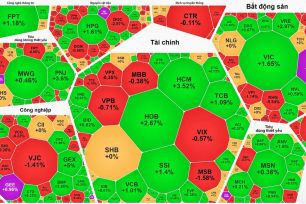 Cổ phiếu Vingroup tăng mạnh, VN-Index thêm gần 20 điểm