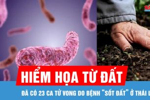Bộ Y tế khuyến cáo khẩn sau 23 ca tử vong do bệnh “sốt đất” ở Thái Lan
