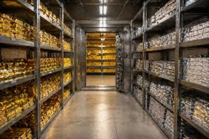 Giá vàng xuống dưới 4.700 USD, bạc chịu áp lực từ USD 