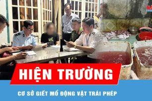 Đột kích các lò giết mổ động vật trái phép ở TPHCM