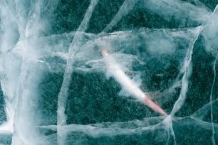 Hồi sinh sinh vật 24.000 tuổi từ băng vĩnh cửu