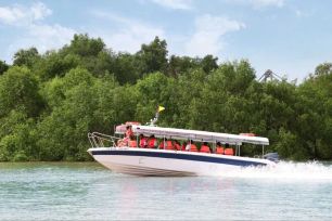 Tình vùng rừng đước Cần Giờ