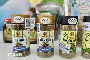 'Cánh tay nối dài' đưa sản phẩm OCOP vào chuỗi liên kết giá trị bền vững