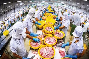 Nông - lâm - thủy sản xuất siêu 5,39 tỷ USD