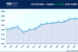 Thị trường hàng hóa khởi sắc, MXV-Index tiến sát mốc 3.000 điểm
