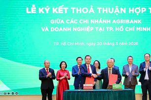 Dòng vốn tín dụng xanh đi vào thị trường ngách