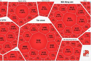 Ngày 11-5: VN-Index giảm mạnh sau khi lập đỉnh