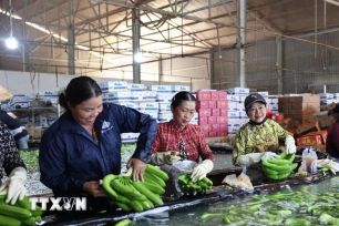 “Tấm vé thông hành” giúp nông sản TPHCM vươn xa