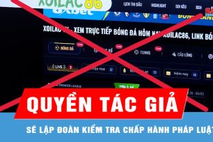 Sẽ lập đoàn kiểm tra chấp hành pháp luật về quyền tác giả 