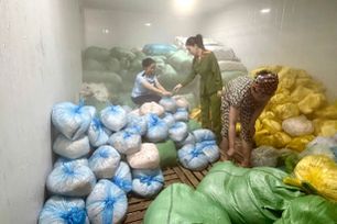 Phát hiện hơn 14 tấn da heo không nguồn gốc xuất xứ