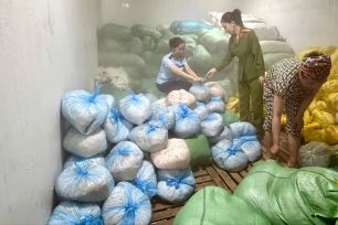 Phát hiện hơn 14 tấn da heo không rõ nguồn gốc