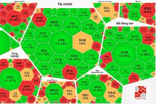 VN-Index thiết lập đỉnh mới
