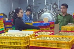 Bắt giám đốc công ty sản xuất nước yến, yến sào giả