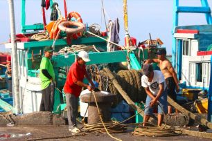 Ngư dân Nam Trung bộ hướng đến nghề cá bền vững