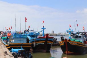 TPHCM tăng cường xử lý tàu cá vi phạm IUU, hoàn thành báo cáo trước ngày 10-6