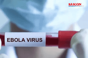 Hơn 80 ca tử vong nghi do nhiễm virus Ebola ở Congo, Bộ Y tế ra thông báo khẩn