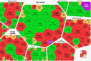 Cổ phiếu dầu khí tăng mạnh, VN-Index thiết lập đỉnh mới