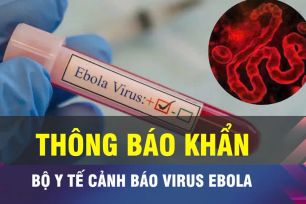 18 GIỜ NGÀY 18-5: Thông báo khẩn dịch sốt xuất huyết do virus Ebola