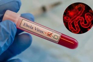 Không loại trừ virus Ebola xâm nhập qua người nhập cảnh từ vùng dịch