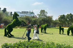 Lấp 'khoảng trống' mảng xanh đô thị để nâng cao chất lượng sống