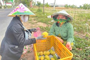 Đồng Tháp đưa 'chợ số' đến với nông dân