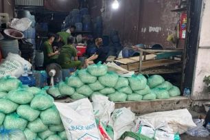 TPHCM: Khởi tố 4 bị can dùng chất cấm để sản xuất giá đỗ