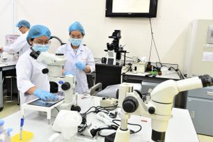 Nghị định 179 tạo 'đòn bẩy' phát triển nhân lực công nghệ cao