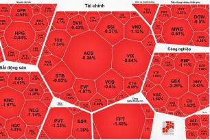 Thị trường chứng khoán ngày 5-6: Điểm tăng, giao dịch giảm